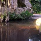 Grotte Peaces - Jd Botanico São Paulo