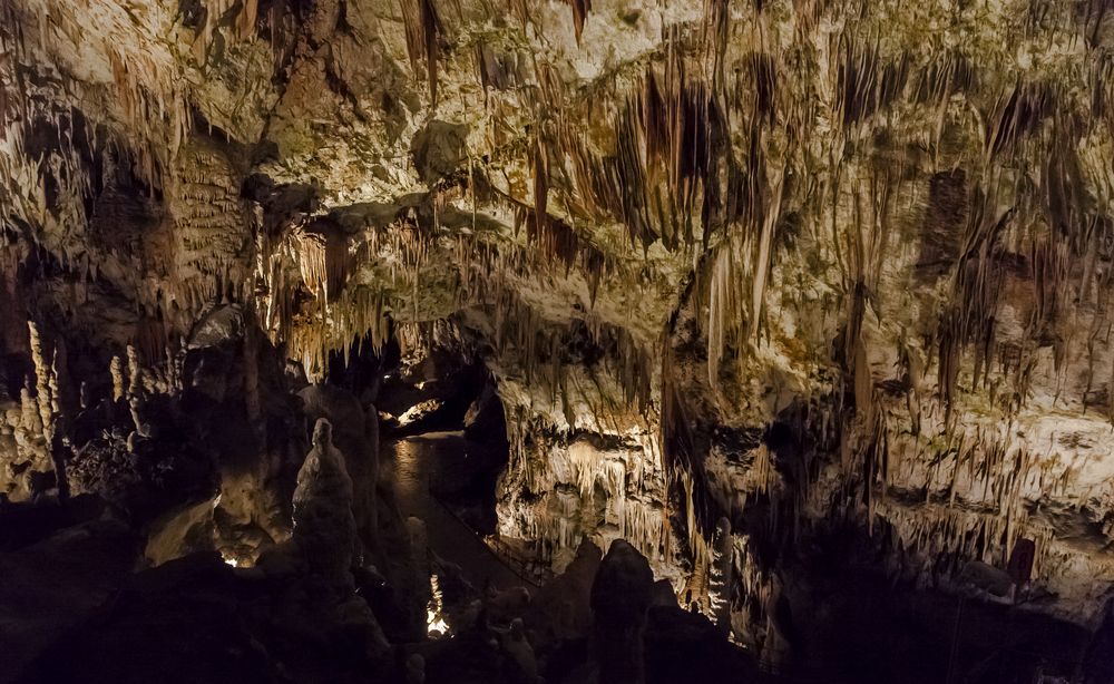 Grotte Postojna 1