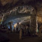 Grotte Postojna 3