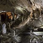 Grotte Postojna 5