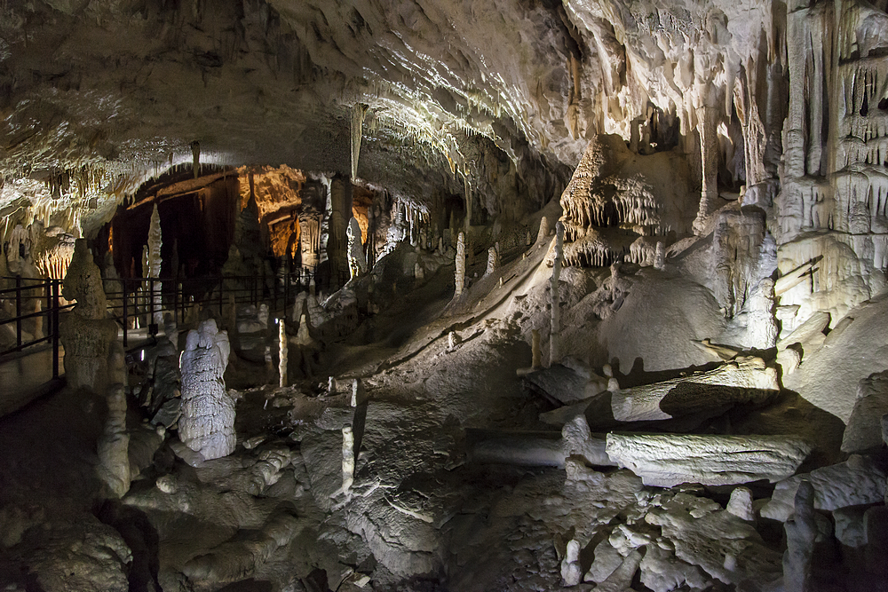 Grotte Postojna 5