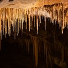 Grotte von Dargilan 9