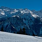 Grotzenbüel oberhalb Braunwald Kanton Glarus