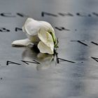 Ground Zero 9/11 Memorial