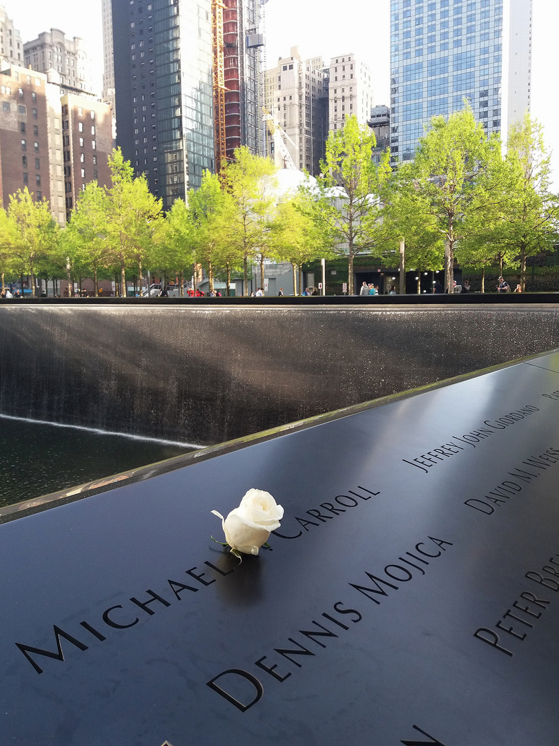 "Ground zero"...una rosa sul nome dei caduti il giorno del compleannoo