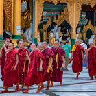 Group of monks at Shwedagon