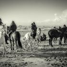 Groupe de cavaliers sur la plage d’Erdeven l’hiver