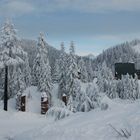 Grouse Mountain-