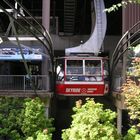 Grouse Mountain Gondola..................................