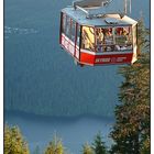 Grouse Mountain (The Peak of Vancouver)