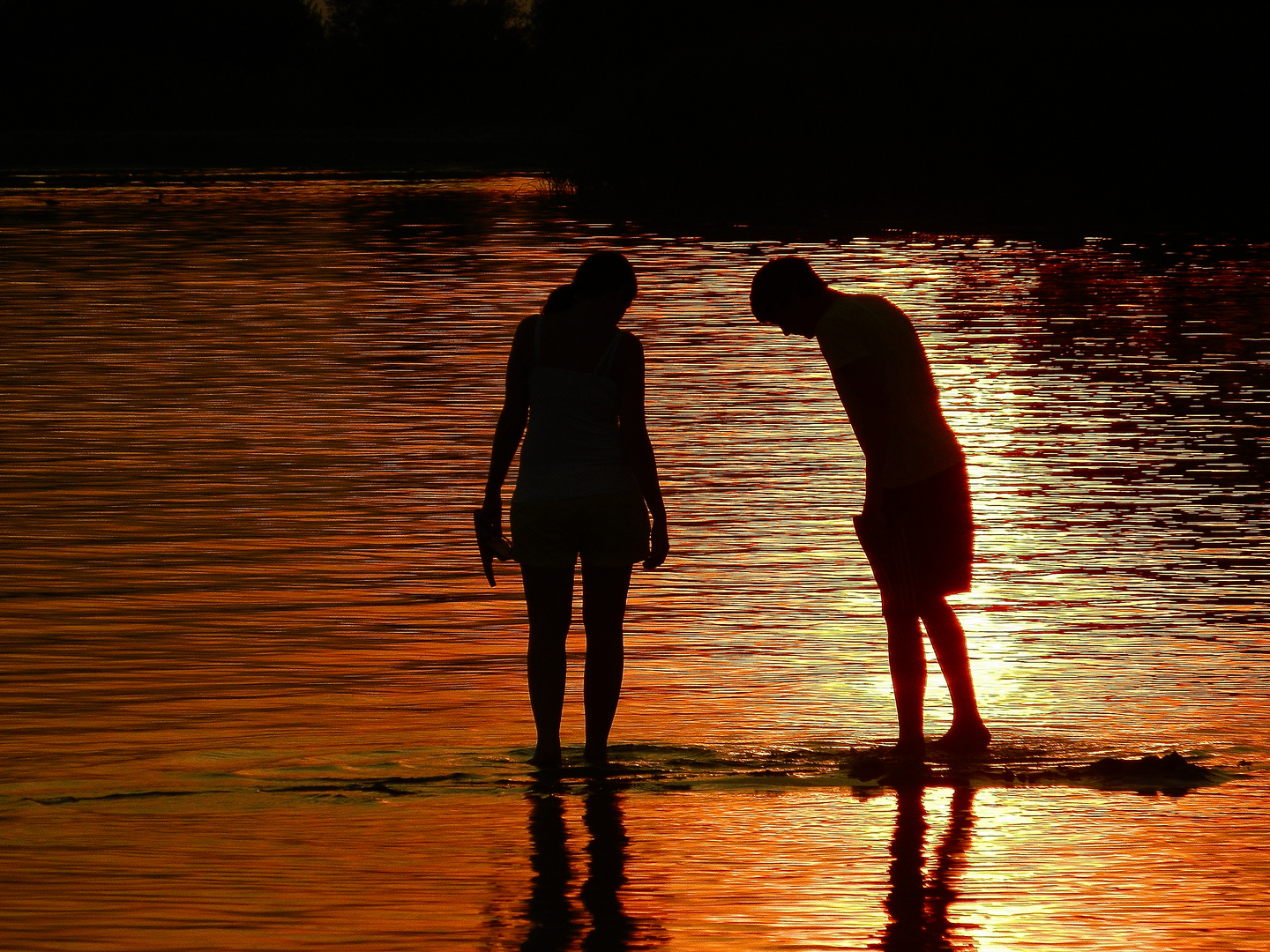 Growing love in sunset