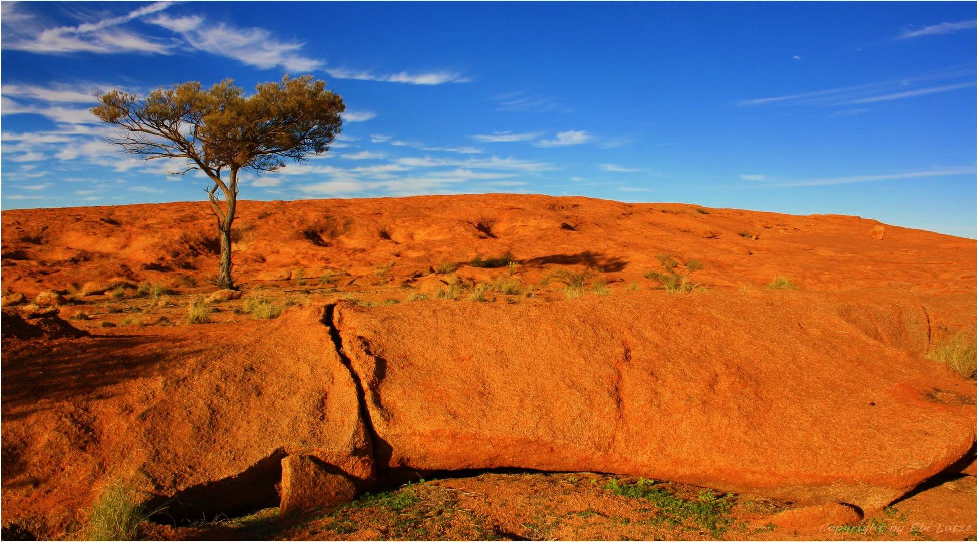 * growing on Granite *