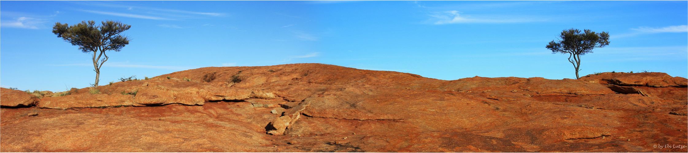 ** Growing on Rock /The Garden Granites/  Cue WA **