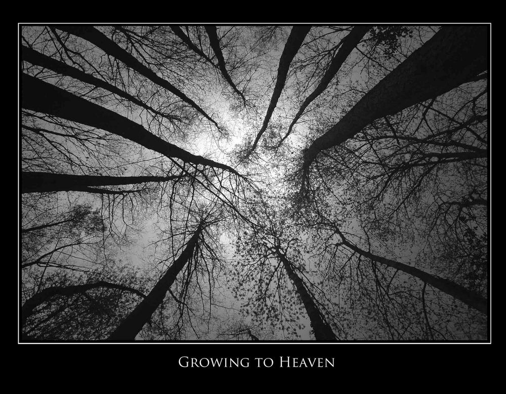 growing to Heaven