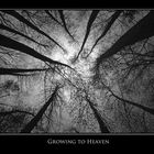 growing to Heaven