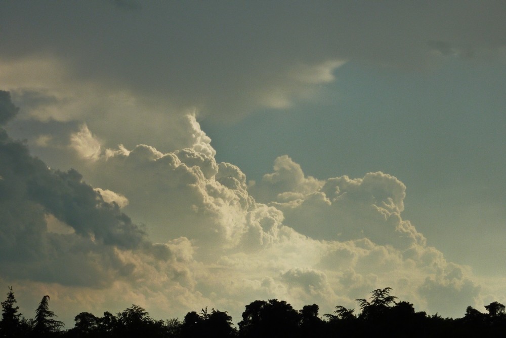 Growth of a Thunderstorm