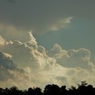 Growth of a Thunderstorm