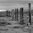 Groynes at St. Mary's Island