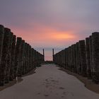 Groynes at sunset