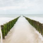 Groynes in serenity V