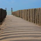 groynes with shadows