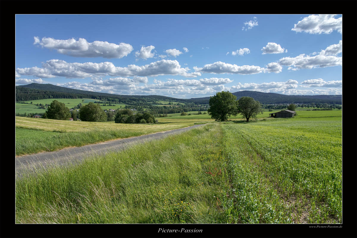 Grren Green Grass of Home