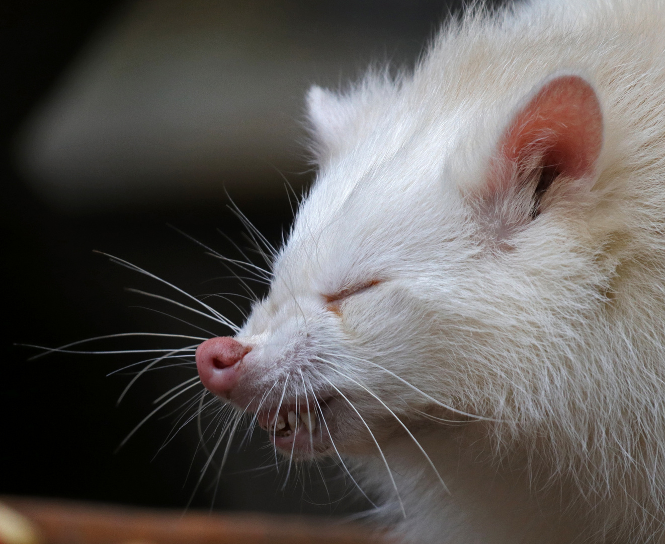 *Grrrrrr* Foto & Bild fotos, canon, youth Bilder auf