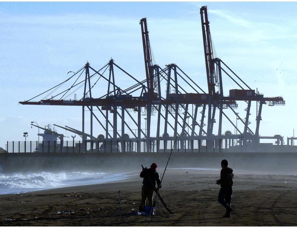 gruas y pescador.