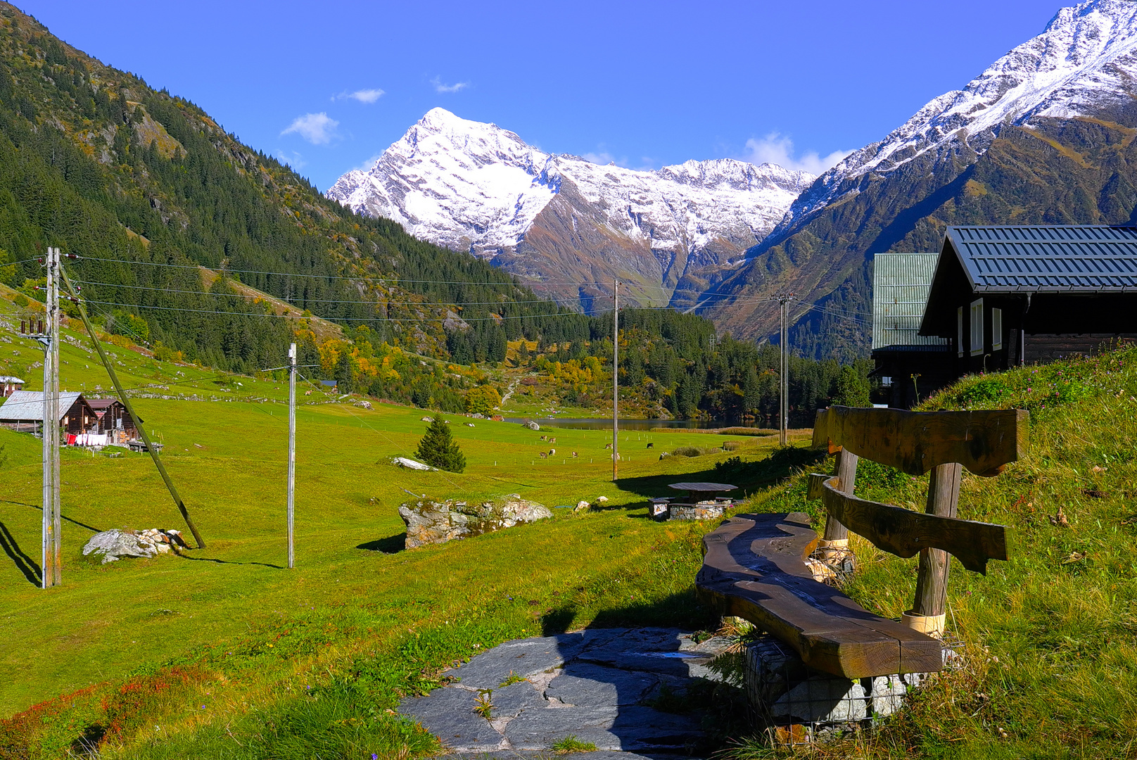 Grubacher , Golzern, Uri