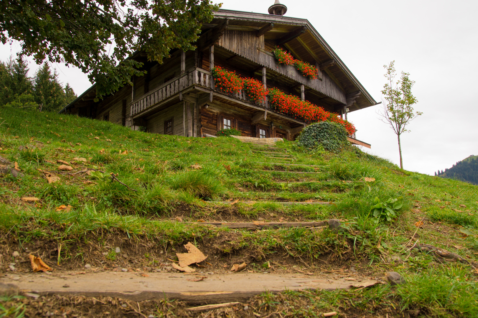 "Gruberhof" - Köpfinghof