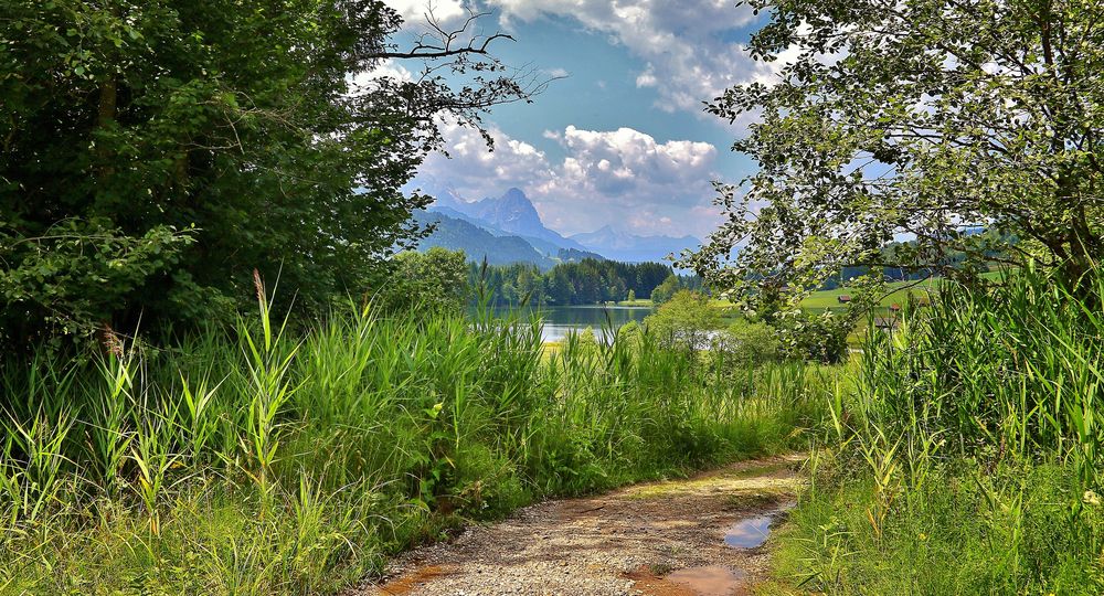 Grubsee, Barmsee, Geroldsee