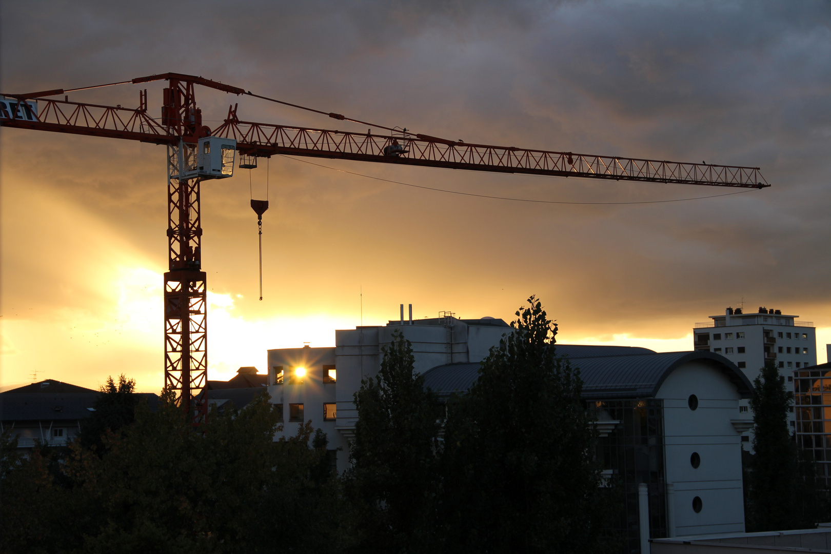 Grue sur couché de soleil