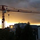 Grue sur couché de soleil