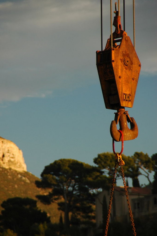 Grue sur le port de Cassis (Var, France)