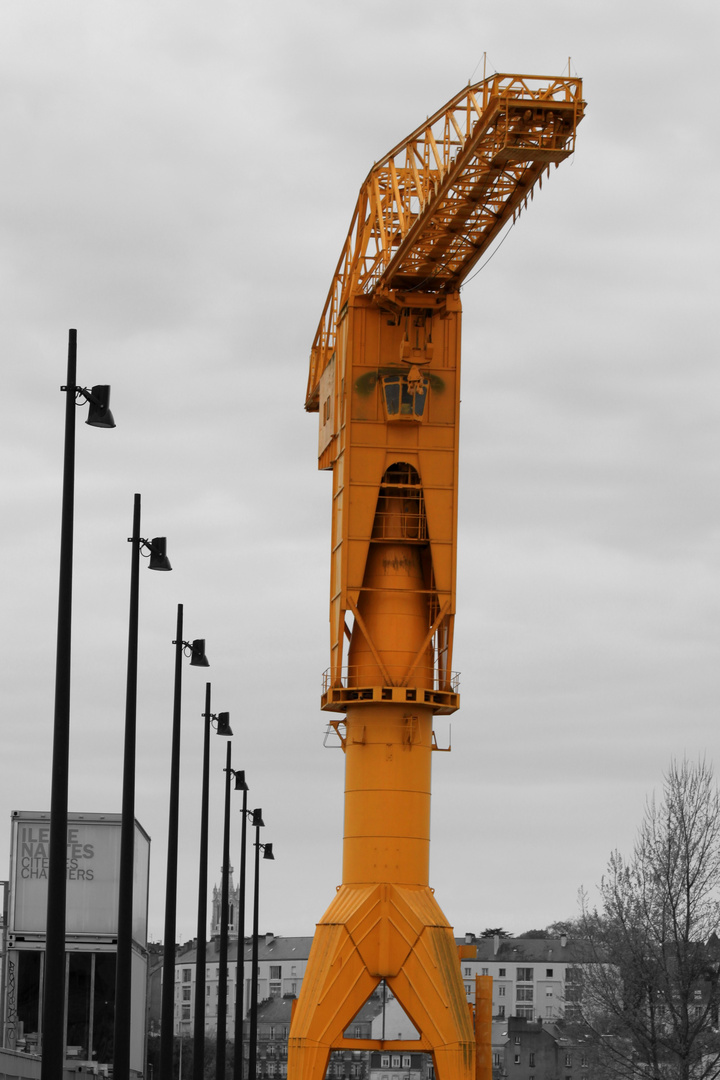 Grue titan jaune