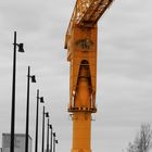 Grue titan jaune