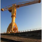 Grue Titan Jaune - Nantes