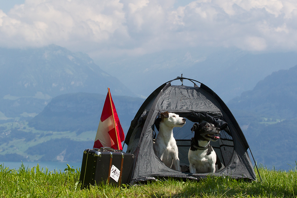 Grüezi aus der Schweiz