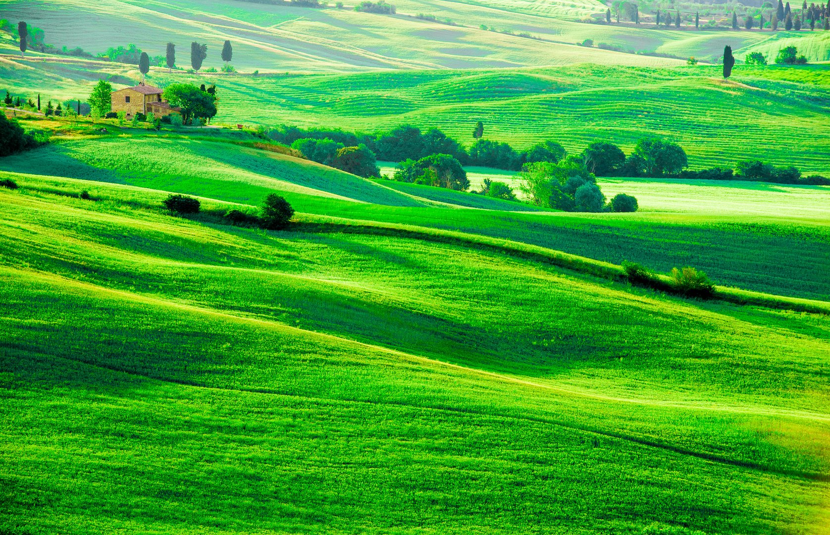 Naturbilder Grün: Entdecke die Magie des Zeichnens mit der Kraft der Natur!