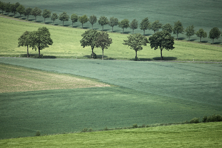 Grün