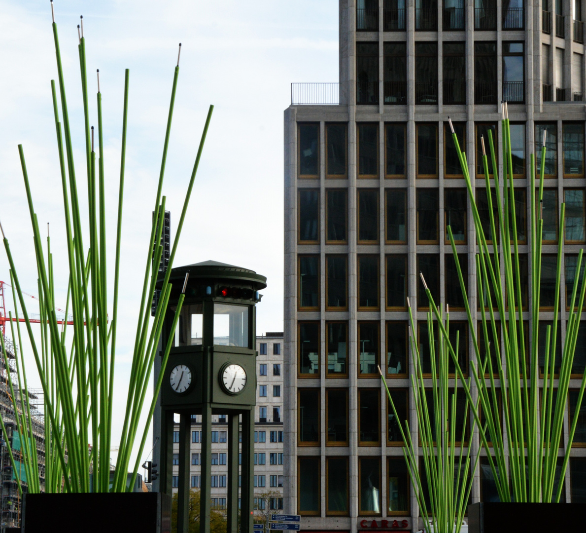 Grün am Potsdamer Platz.