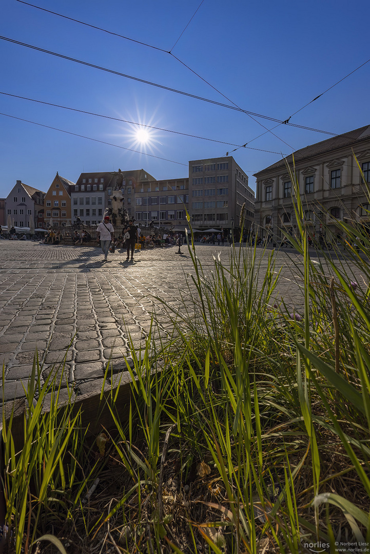 Grün am Rathausplatz