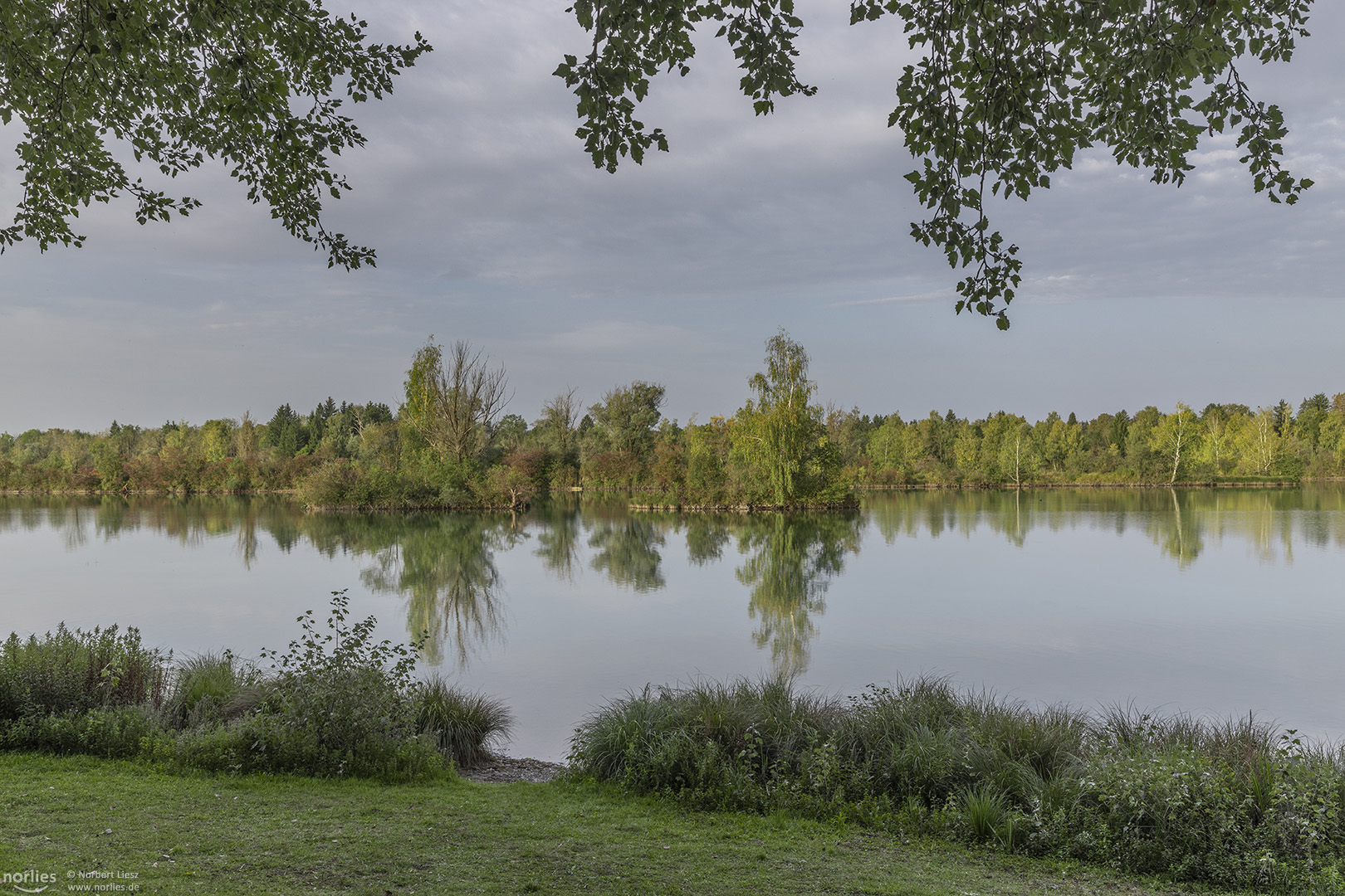 Grün am See