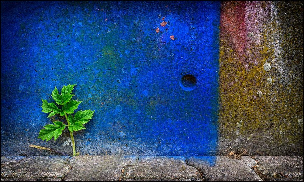 GRÜN auf BLAU mit BUNT und immer noch unbeirrbar