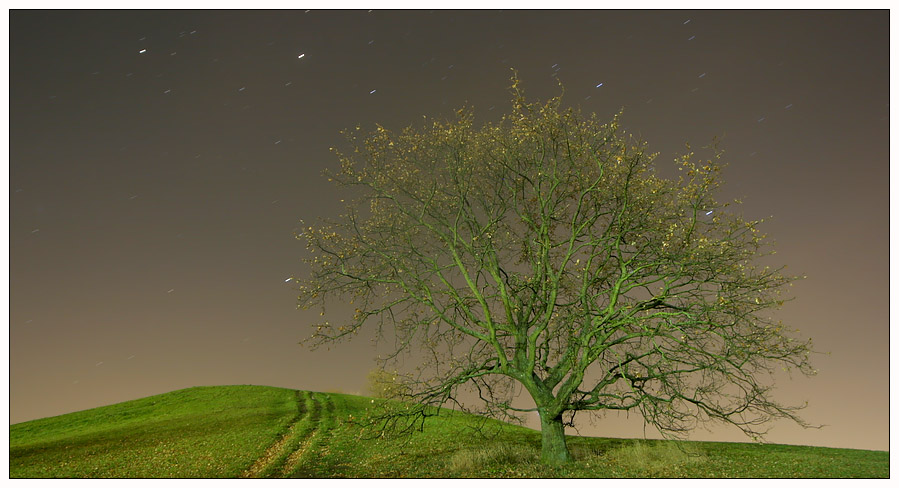 Grün bei Nacht(himmel)