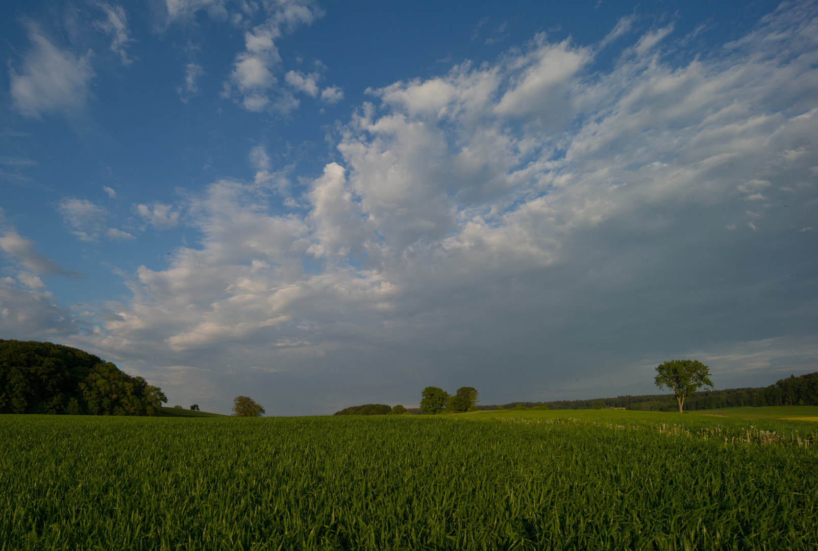 grün... blau.... grau