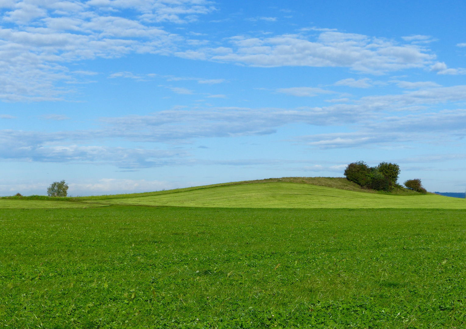 Grün - Blau - Weiß 