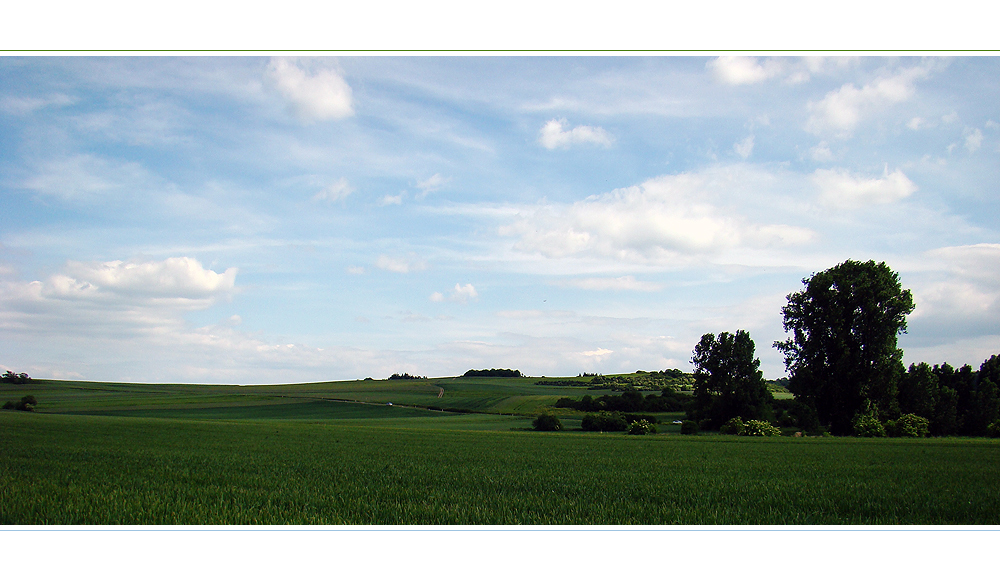 Grün - blaue Natur