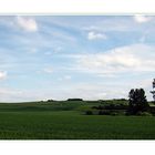 Grün - blaue Natur