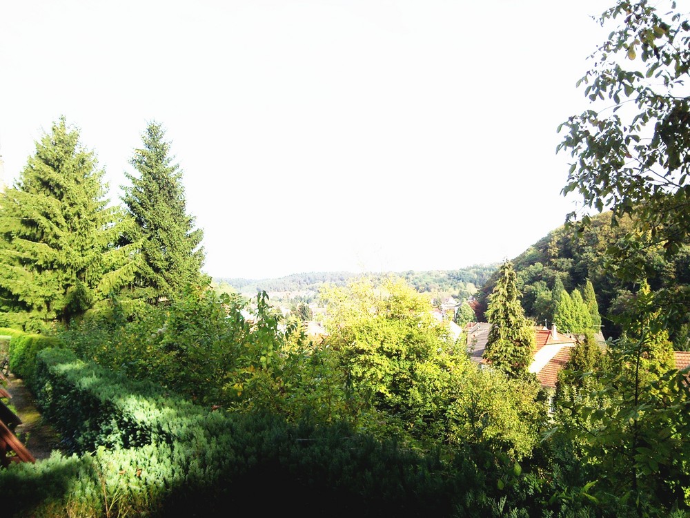 grün